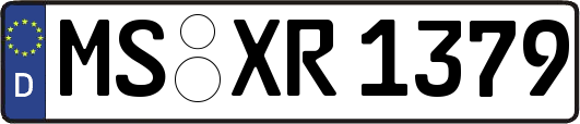 MS-XR1379