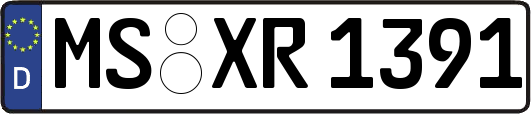MS-XR1391