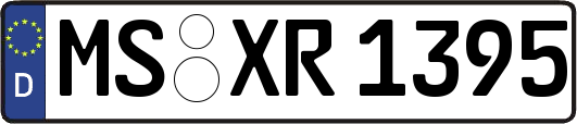 MS-XR1395