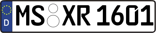MS-XR1601