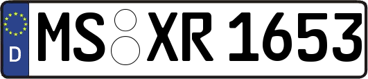 MS-XR1653
