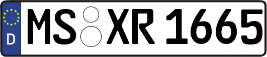 MS-XR1665