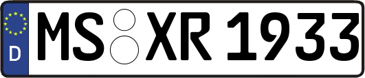 MS-XR1933