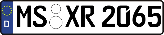 MS-XR2065
