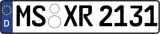MS-XR2131