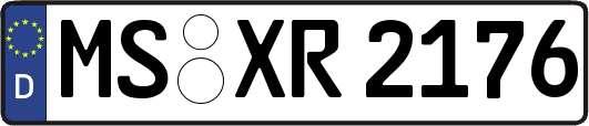 MS-XR2176