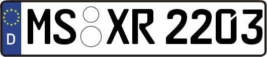 MS-XR2203
