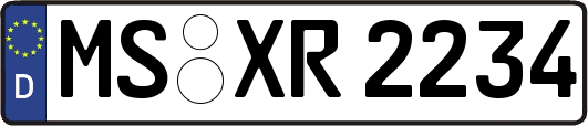 MS-XR2234