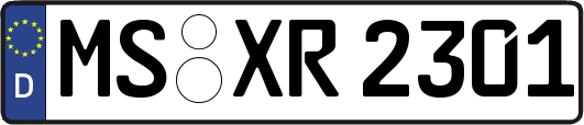MS-XR2301