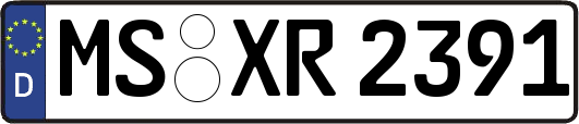 MS-XR2391