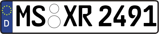 MS-XR2491