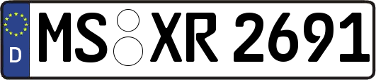 MS-XR2691