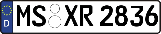 MS-XR2836
