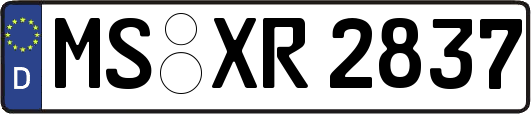 MS-XR2837