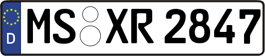 MS-XR2847
