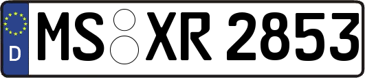 MS-XR2853