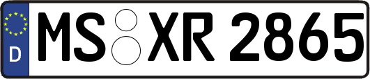 MS-XR2865