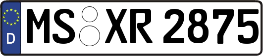 MS-XR2875