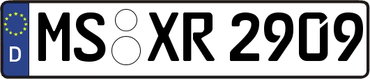MS-XR2909
