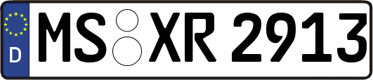 MS-XR2913