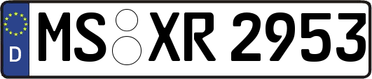 MS-XR2953