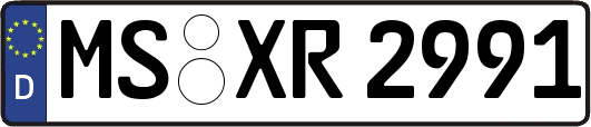 MS-XR2991