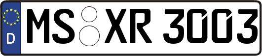 MS-XR3003