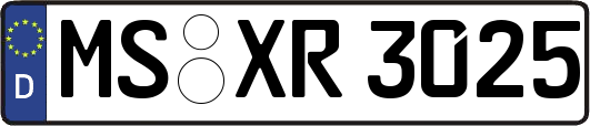 MS-XR3025