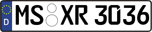 MS-XR3036