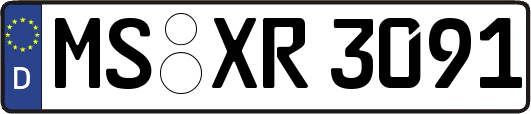 MS-XR3091