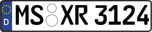 MS-XR3124