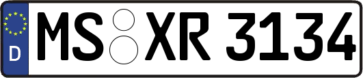 MS-XR3134