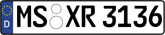 MS-XR3136