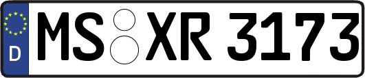 MS-XR3173