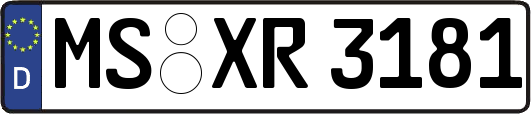 MS-XR3181