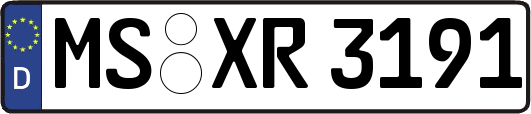 MS-XR3191