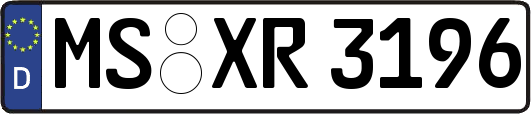MS-XR3196