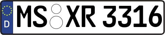 MS-XR3316