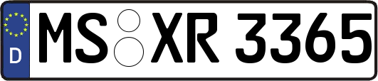 MS-XR3365