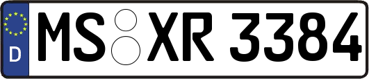 MS-XR3384