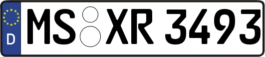 MS-XR3493