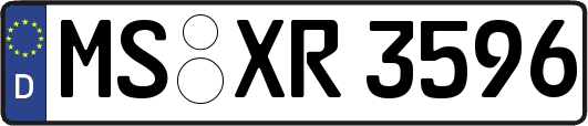 MS-XR3596