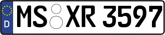 MS-XR3597