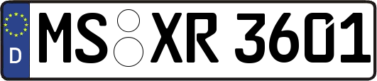 MS-XR3601