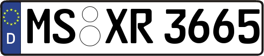 MS-XR3665