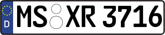 MS-XR3716