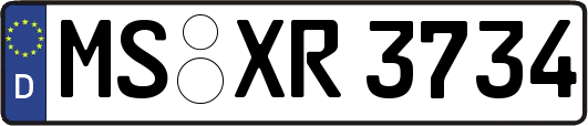 MS-XR3734