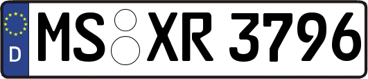 MS-XR3796