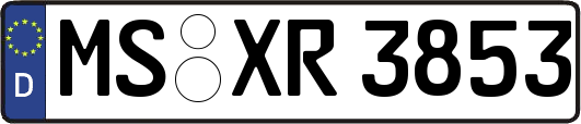 MS-XR3853