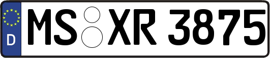 MS-XR3875